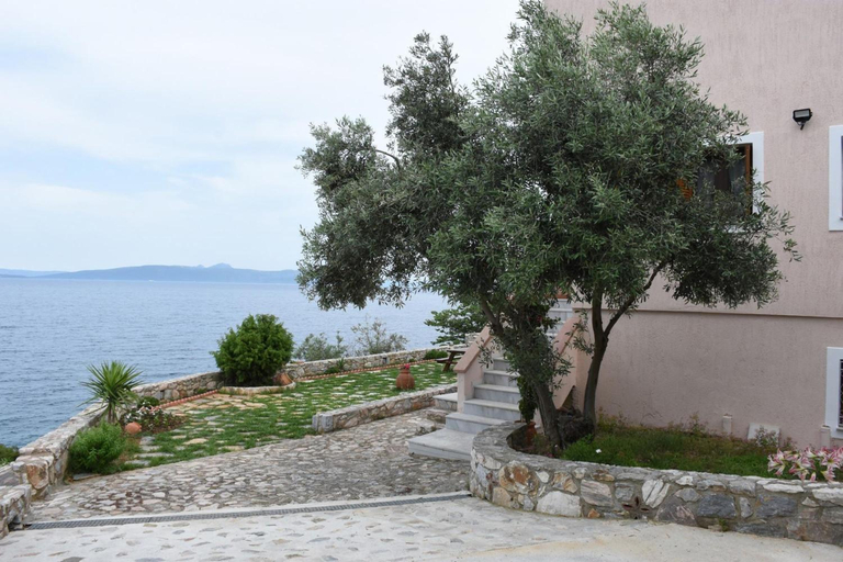Others 3, Goddesses Villa 1 in Nies, Thessaly