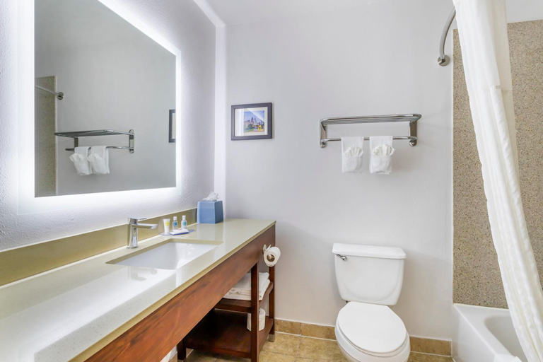 Bathroom 4, Comfort Inn & Suites FM1960-Champions, Houston
