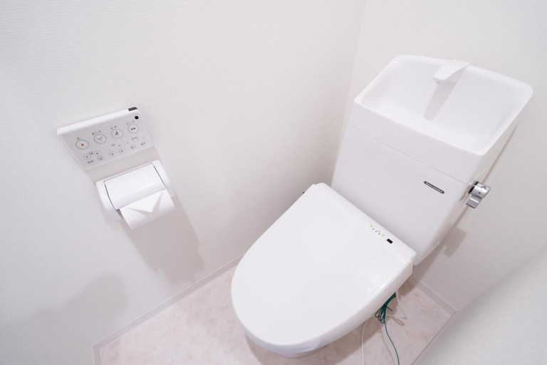 Bathroom 2, 彼岸天下茶屋, Osaka