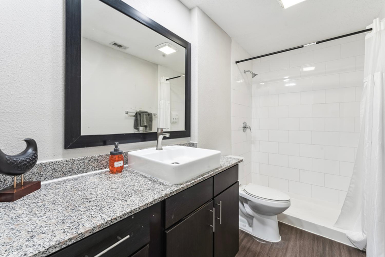 Bathroom 3, Economy King Bed Suites w Pool, Next to Downtown, Travis
