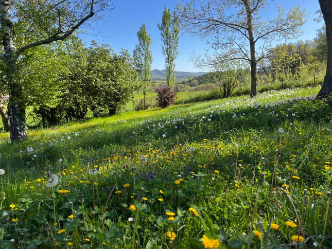 Others 2, Bergerie, Alpes-de-Haute-Provence