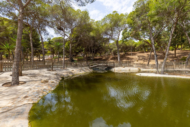 Others 5, Sea Hope by Fidalsa, Alicante
