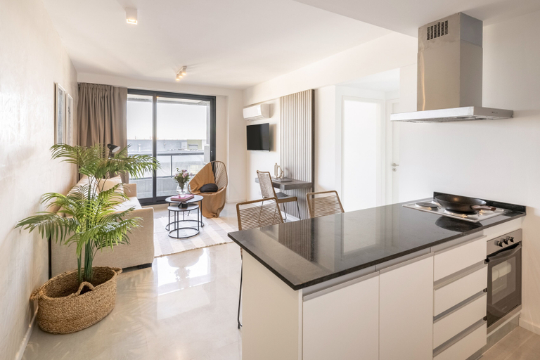 Others 4, Top Rentals Brickell, Tigre