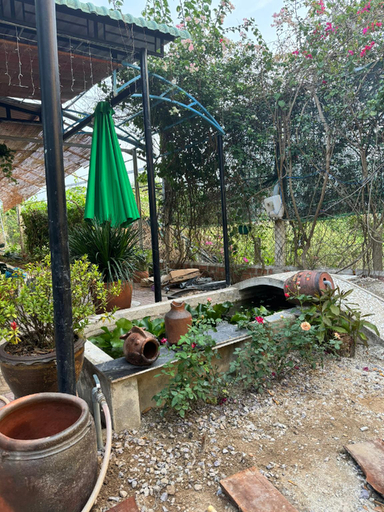 Others 2, Homestay Chuyện Của Nắng - Nang's Story, Tuy Phước