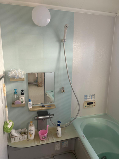 Bathroom, Guesthouse Aizu , Kyōtanabe