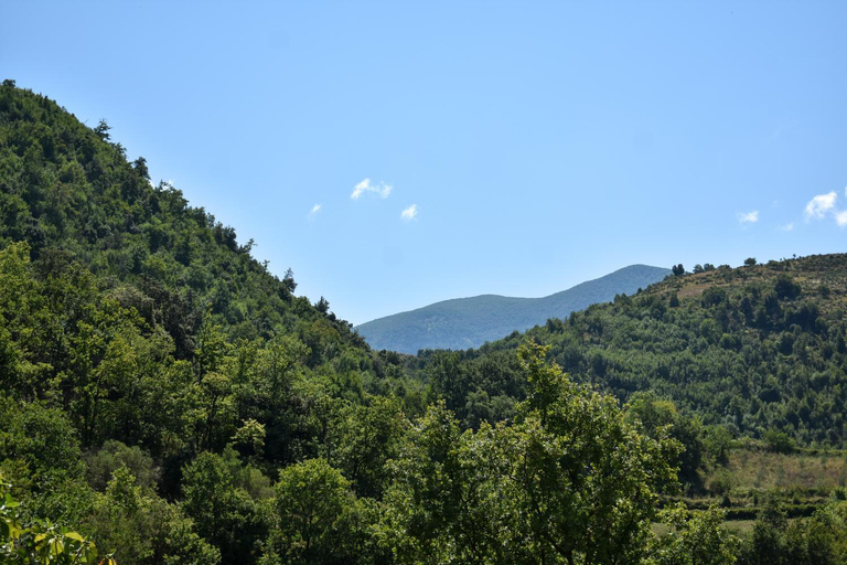 Others 4, La Casetta B&B, Cosenza