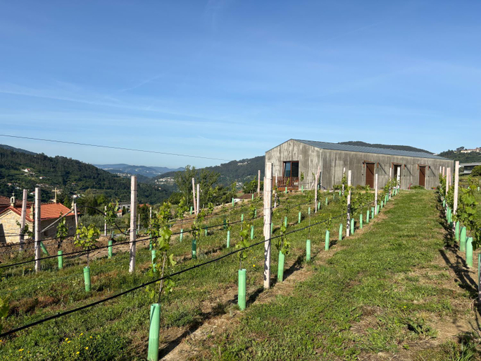 Exterior view 3, Refugio Verde Douro, Marco de Canaveses