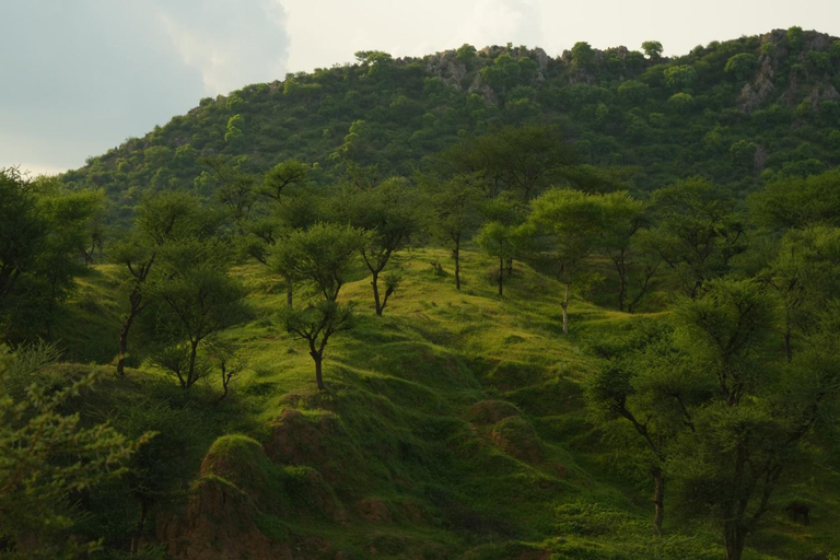 Surrounding environment