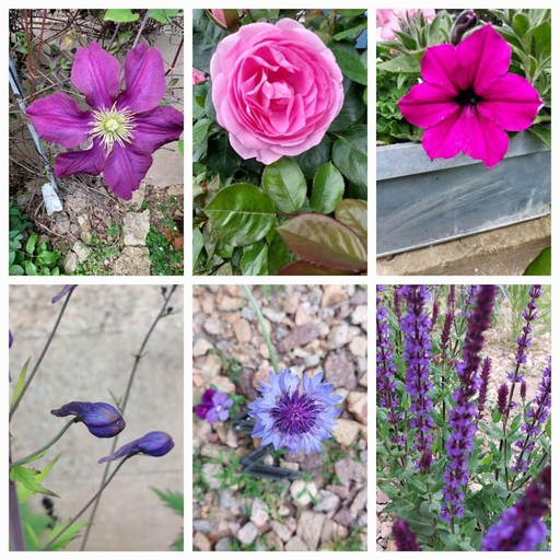 Others 4, Domaine de Vauvelle, Nièvre