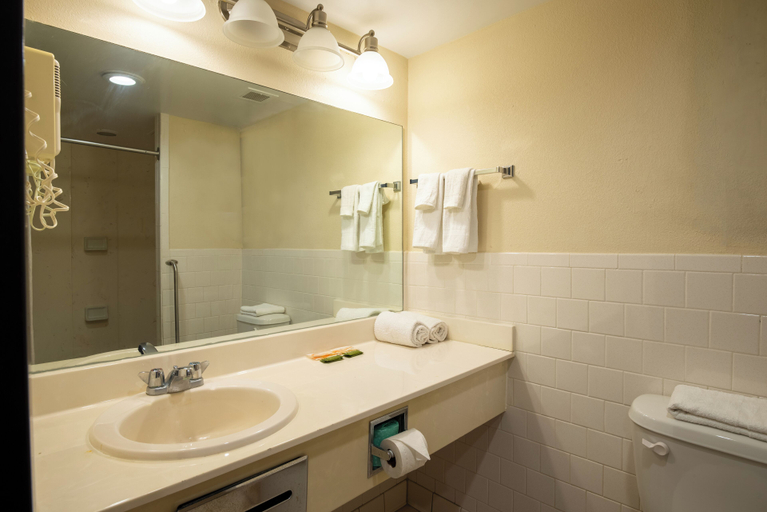 Bathroom 3, Dominion Inn & Suites, Henrico