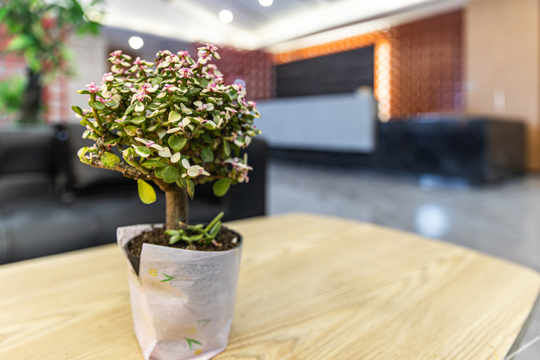 Food & Drinks, Jifeng Hotel (Changchun Jingyue University Town), Changchun