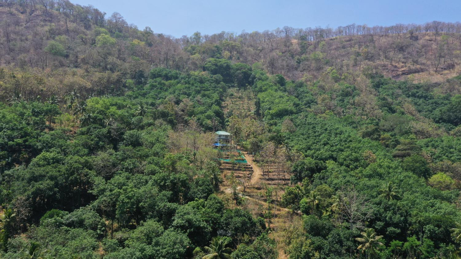 Scenery 2
