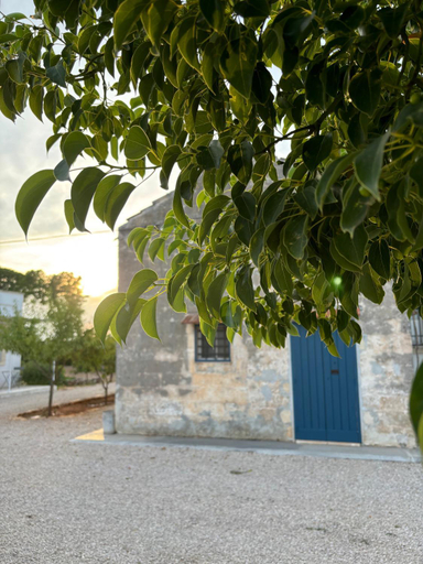 Others 4, Tenuta Villa Vittoria, Lecce