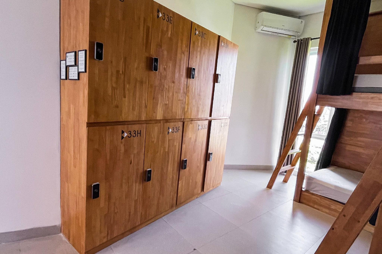 Coco & Pineapple Pants Hostel Room Type - 8-Bed Mixed Dormitory Room