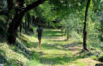 Others 4, Tenuta Delo Relais, Verona