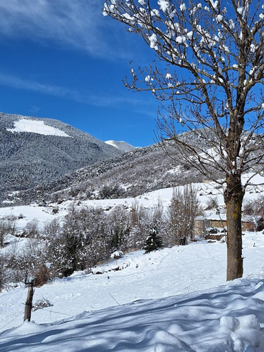 Surrounding environment, Rectoria Nova, Girona