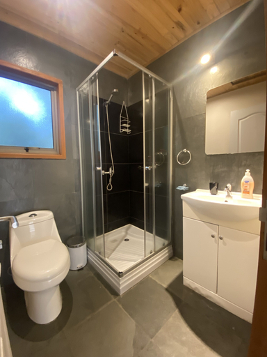 Bathroom, Loft Pucon Apart Hotel, Cautín