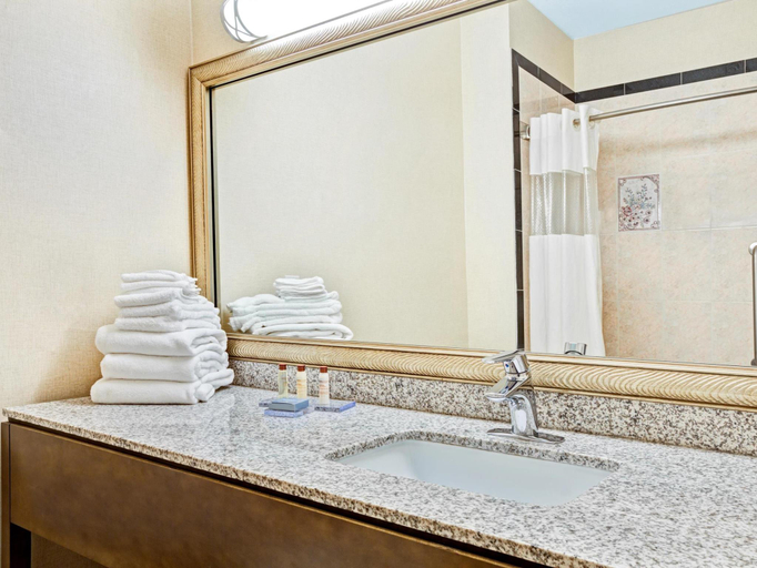Bathroom 4, Hotel Willowbrook, Houston