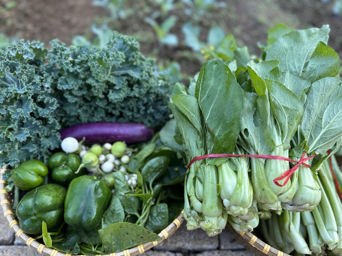 Food & Drinks 4, Ho May Garden Retreat - Moc Chau, Mộc Châu