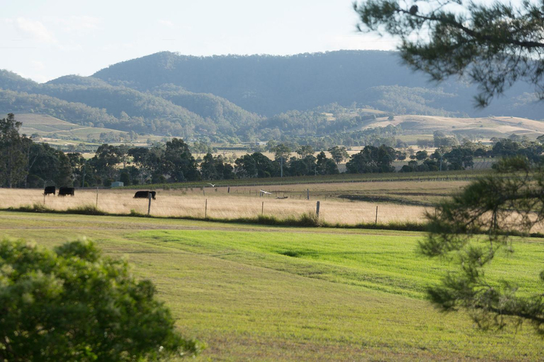 Others 3, Harkham Lodge, Cessnock