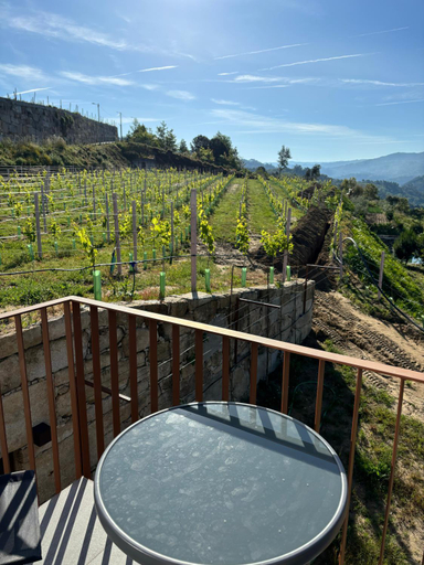 Surrounding environment 4, Refugio Verde Douro, Marco de Canaveses