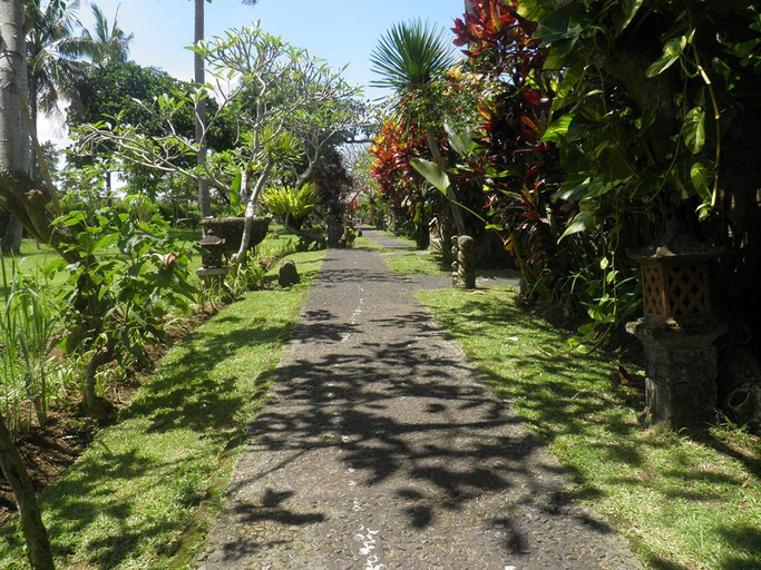 Photo 23