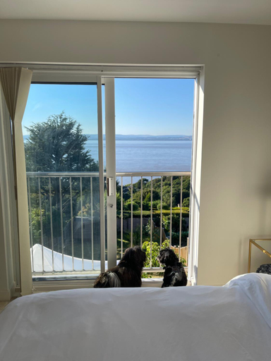 Bedroom 2, Redcliffe View - Shared Homestay with Resident Show Dogs, North Somerset