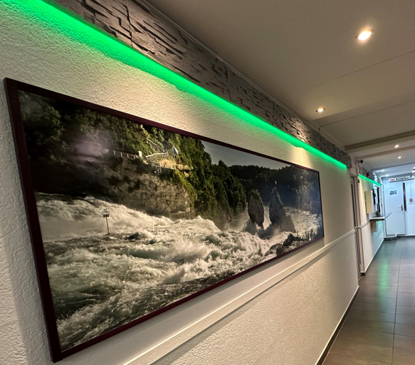 Public Area 3, Hotel Rheinfall, Schaffhausen