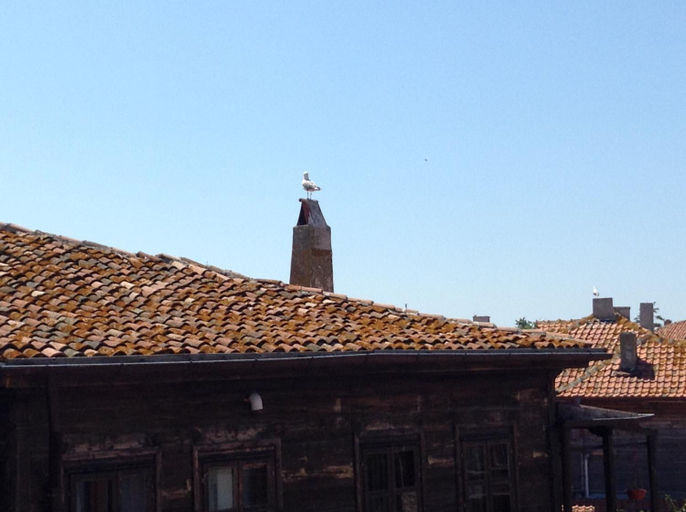 Others 2, Tatjana Apartments, Nesebar