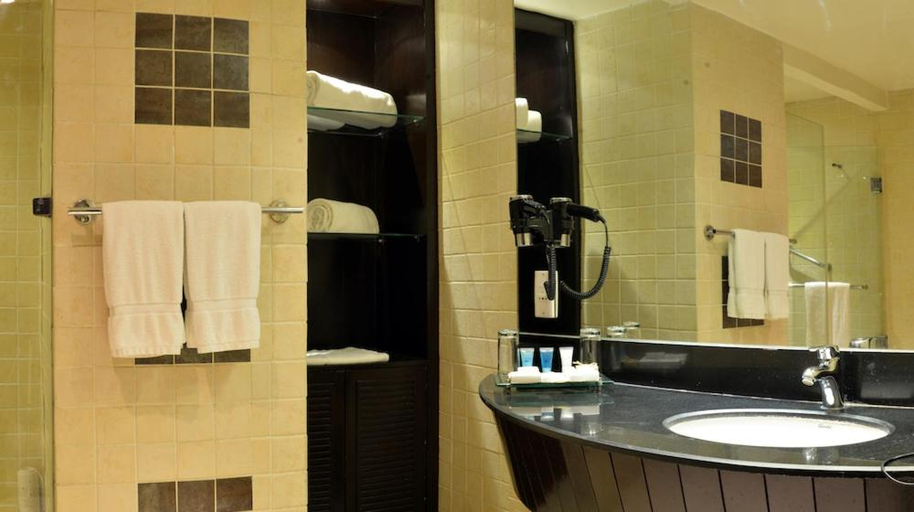Bathroom 4, Parklane Hotel , Lahore
