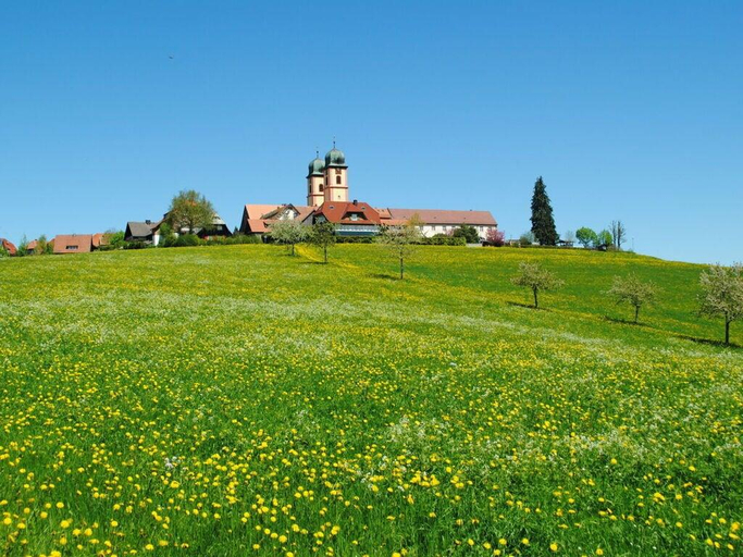 Others 3, Landhuis Appartement Feldberg uitzicht, Breisgau-Hochschwarzwald