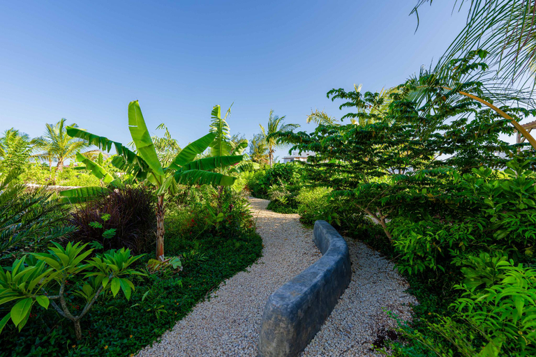 Others 1, Amani Living : Paradise in Paje Zanzibar, Kusini