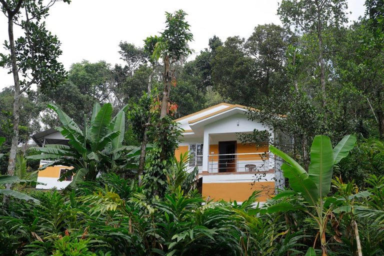 Others 2, Snowdonia Ecostay Vagamon, Idukki