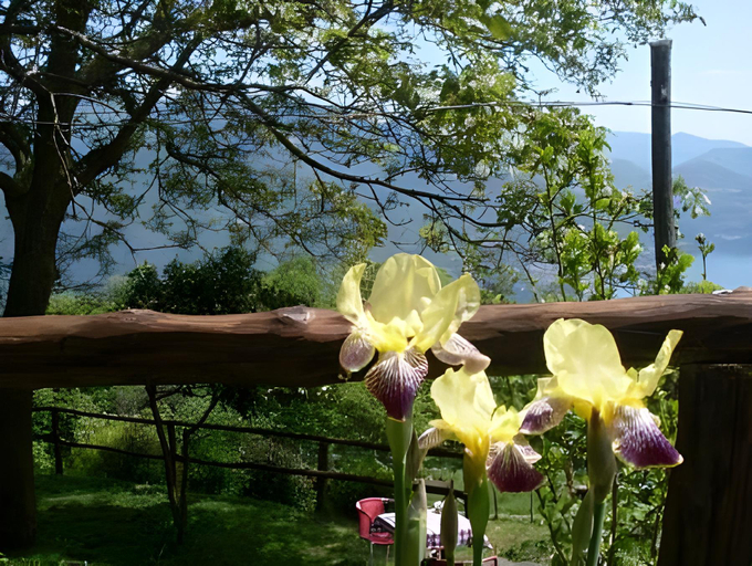Others 5, Agriturismo Da Attilio, Verbano-Cusio-Ossola