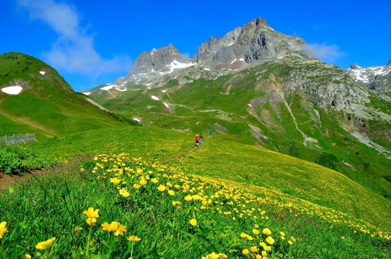 Others 2, Chalet 800, Isère