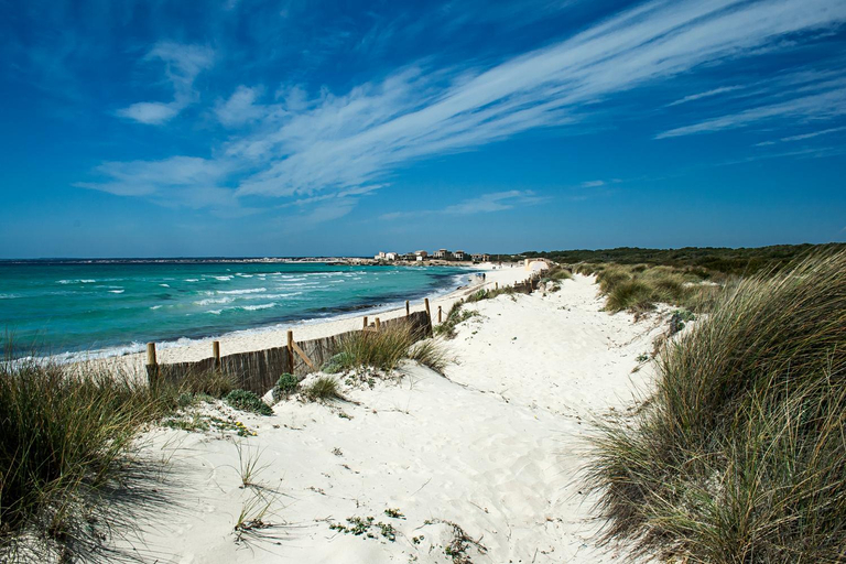 Others 2, Villa 11 Oasis del Mare, EsTrenc, Wifi, Klima,, Baleares