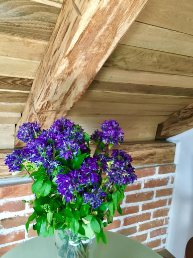 Others 5, Guesthouse Zganjer, Ozalj