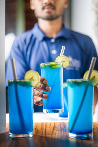 Food & Drinks, Sunfun Beach House, Kannur