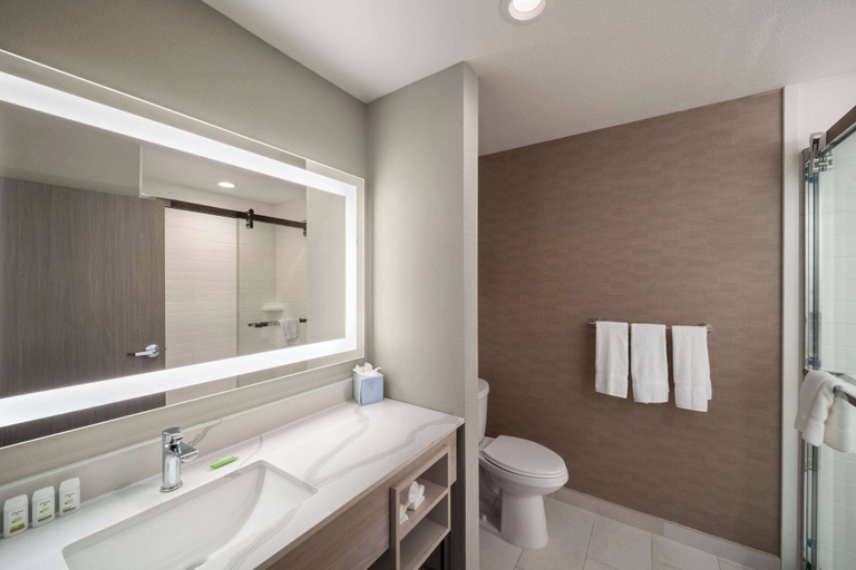 Bathroom 4, La Quinta Inn & Suites by Wyndham DeSoto, Dallas