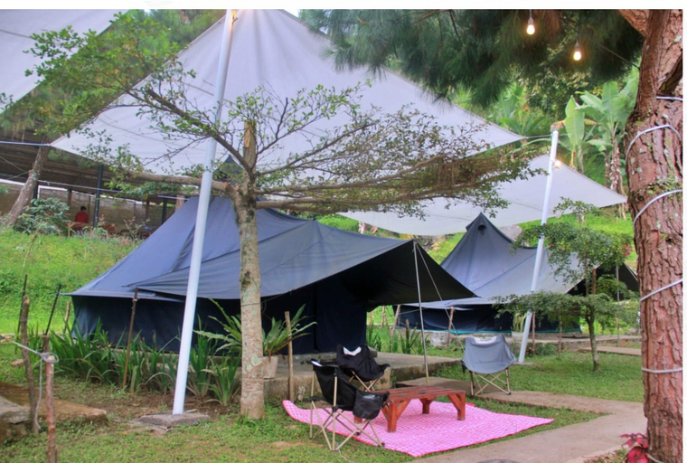Forrester Smartcamp and Villa Room Type - Glasto tent