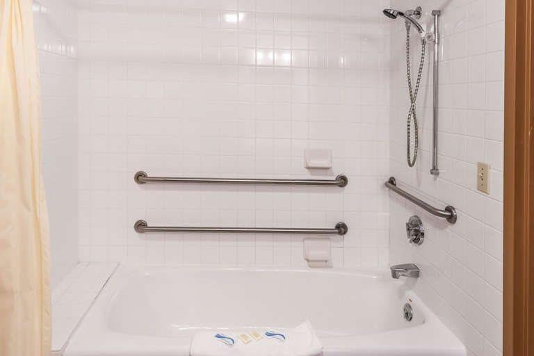 Bathroom 4, Econo Lodge Inn & Suites, Oconto