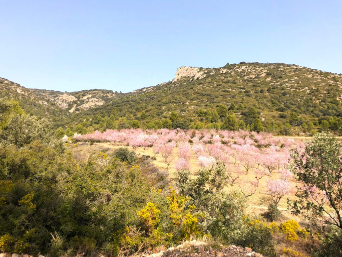 Others 2, La Casa de Matilde, Castellón