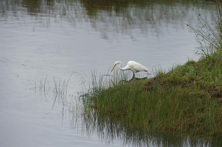 Others 5, Pelican Point Sanctuary, Break O'Day
