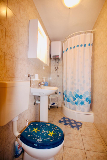 Bathroom 2, Charming apartments Vesna Ravni, Raša