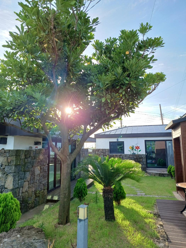 Others 3, Udoseomseom, Seogwipo