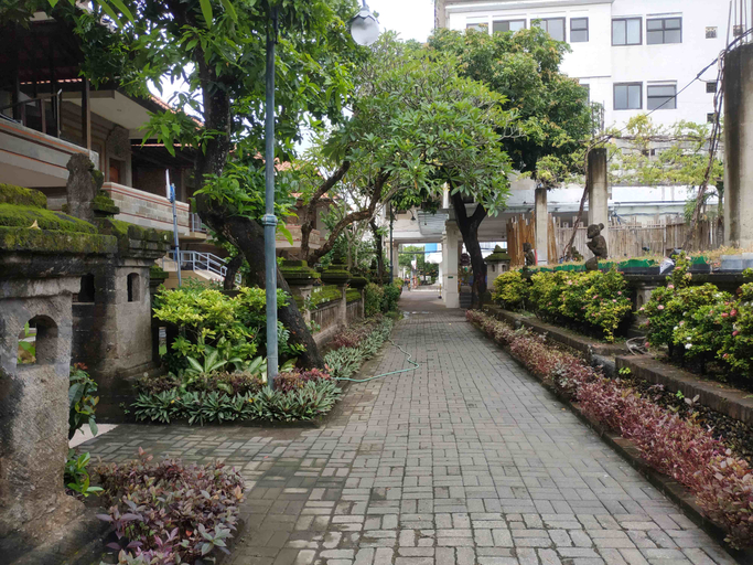Scenery 16