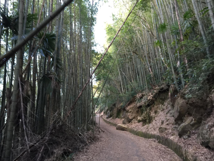 Others 4, Shan Ming Show B&B, Chiayi County