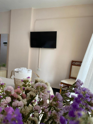 Others 2, Sofia Room's 1, Durrësit