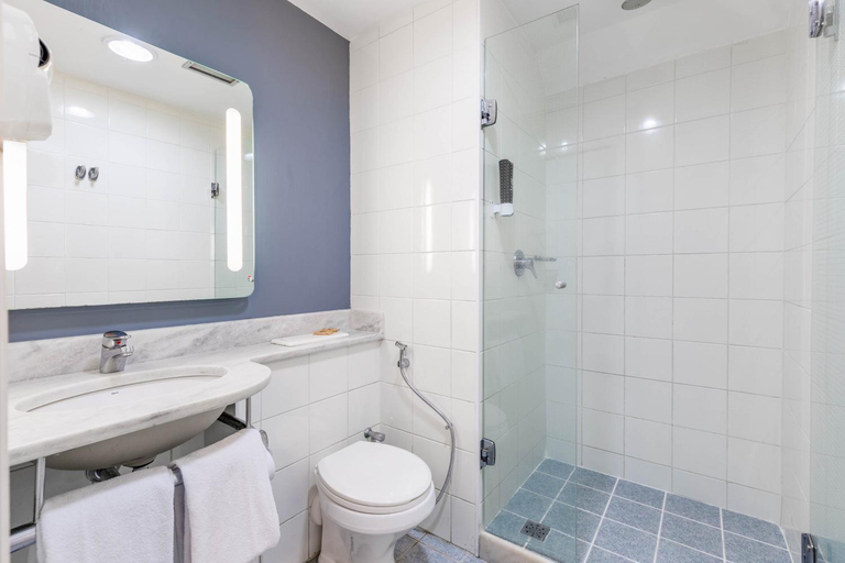 Bathroom 4, ibis São Paulo Paulista, São Paulo