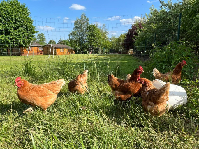 Others 4, Agroturystyka Lucyna Babinska, Kłodzko